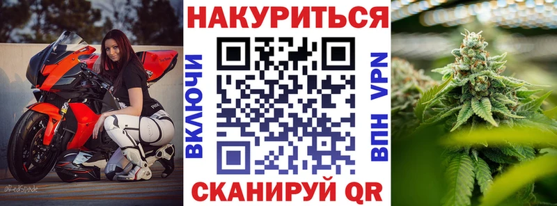 Купить где Кологрив Канабис AK-47